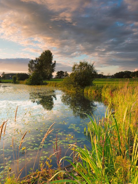 natuur rivier 16
